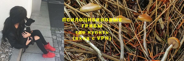 ALPHA PVP Михайлов
