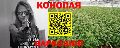 ECSTASY Кингисепп