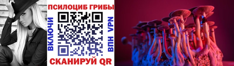 KRAKEN как войти  закладки  Феодосия  Псилоцибиновые грибы MAGIC MUSHROOMS 