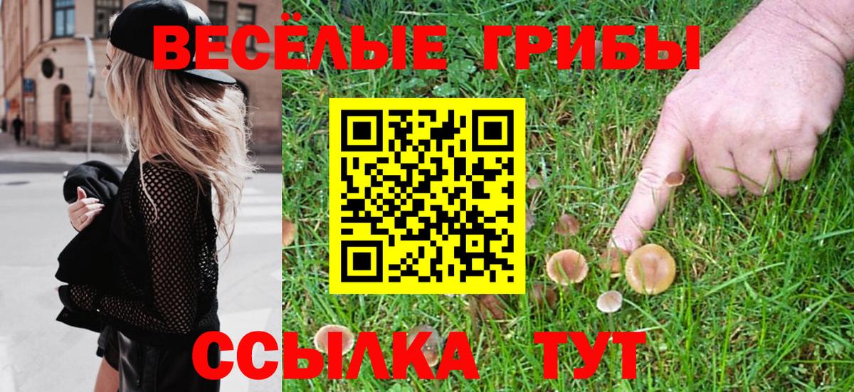 Галлюциногенные грибы ЛСД Феодосия