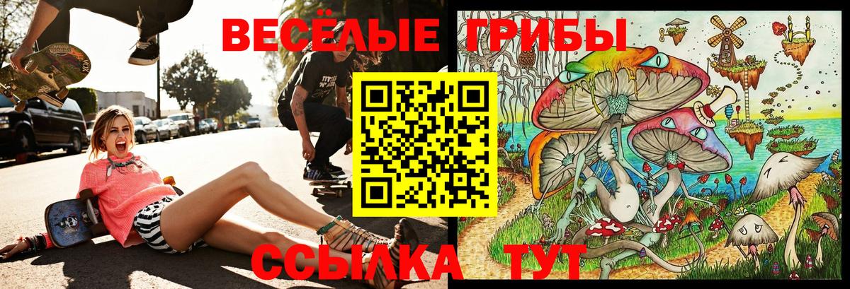 Феодосия  Галлюциногенные грибы Psilocybine cubensis  Вход с VPN 